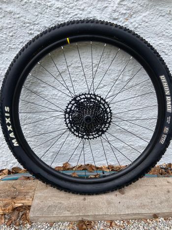 Used Mavic Lapierre Hinterrad 2023 bike