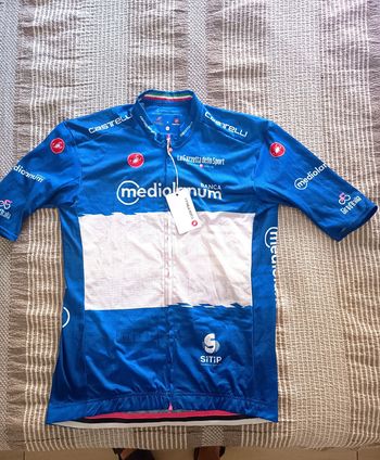 Used Castelli Giro d'Italia bike