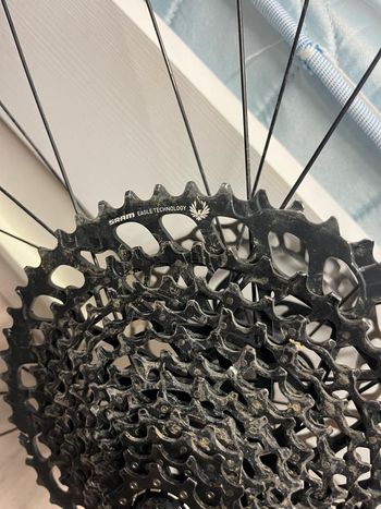 Used MICROTECH RK25 29" Wheel 2025 bike — image 6 of 8