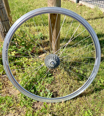 Gebrauchtes Campagnolo Atlanta 1996 bike — Bild 5 von 7