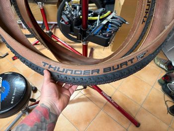Used Schwalbe Thunder Burt 29x2.25 bike — image 4 of 6