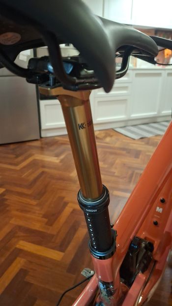 Used Fox Transfer 120 mm 31,6 2024 bike — image 4 of 5