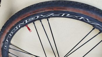 Used Campagnolo Shamal Ultra USB DB 2022 bike — image 5 of 7