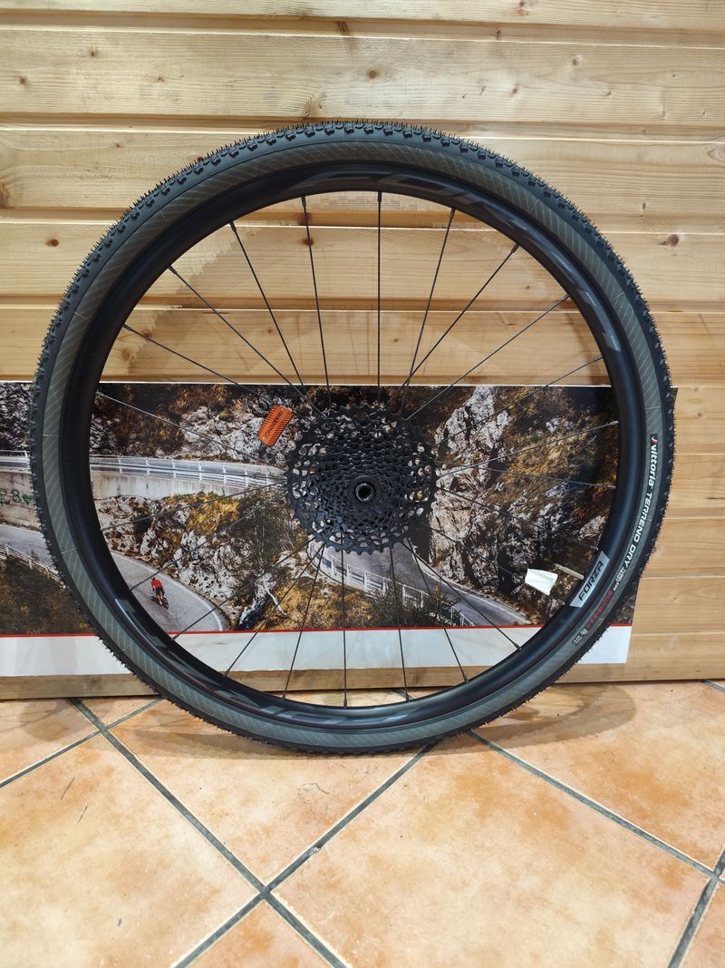 Used FORZA norte db 2025 bike — image 2 of 7
