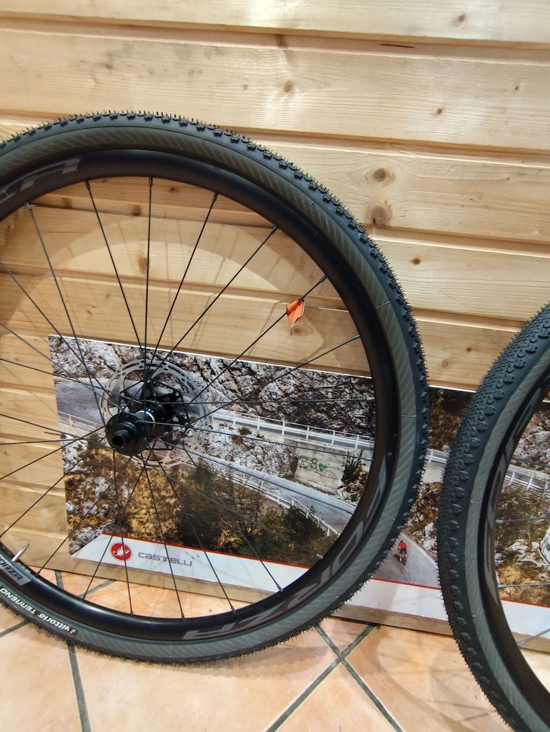 Used FORZA norte db 2025 bike — image 5 of 7