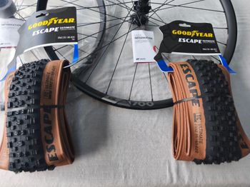 Used Dt Swiss EX 1700 SPLINE 29 - 30 mm IS 12/148 mm Shimano bike — image 5 of 5