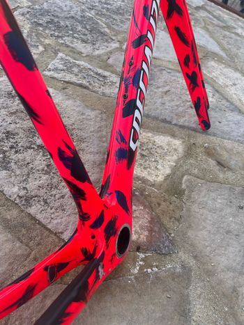 Used Specialized Crux Frameset 2021 bike — image 10 of 10