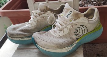 Used Topo Athletic Atmos bike