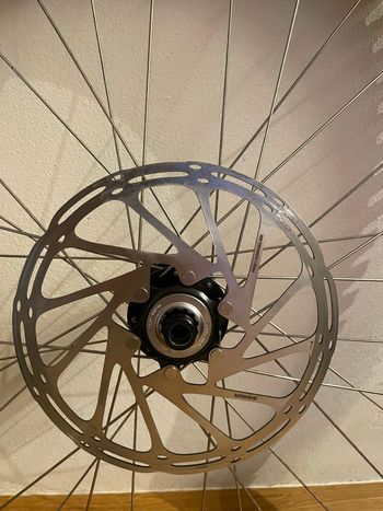 Used Dt Swiss FR 541 Rim 2026 bike — image 4 of 4