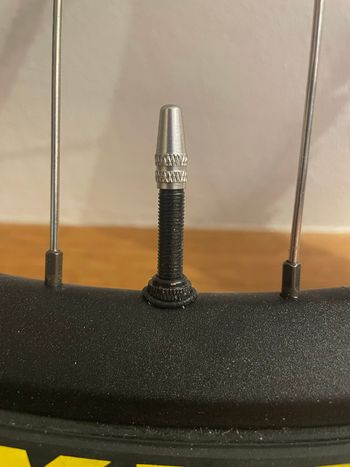 Used Dt Swiss FR 541 Rim 2026 bike — image 3 of 4