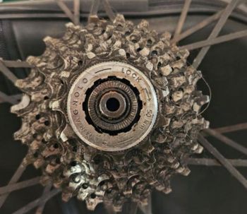 Used Novatec Ruote Carbonio bike — image 3 of 5