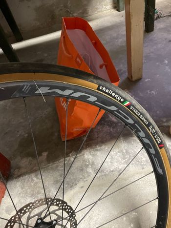 Used Fulcrum Racing 600 DB bike — image 2 of 7