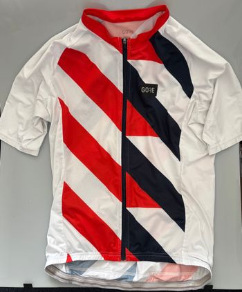 Used Gorewear Rennrad Trikot Fahrradtrikot Gr. L bike