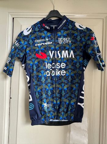 Used AGU Team Visma-Lease a Bike fietsshirt Renaissance collectie 2024 bike