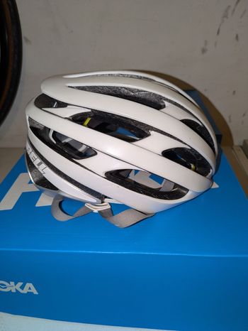 Used Bell Status MIPS Helmet bike