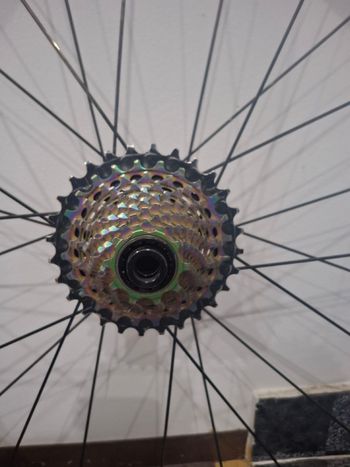 Used Bellani SL50 Wheelset 2024 bike — image 4 of 4