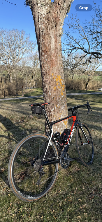 Used Dt Swiss PR 1600 SPLINE 23 RB Shimano 11s 2023 bike — image 6 of 6