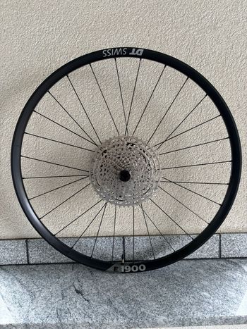Used Dt Swiss E 1900 Spline 29" Hinterrad 2025 bike