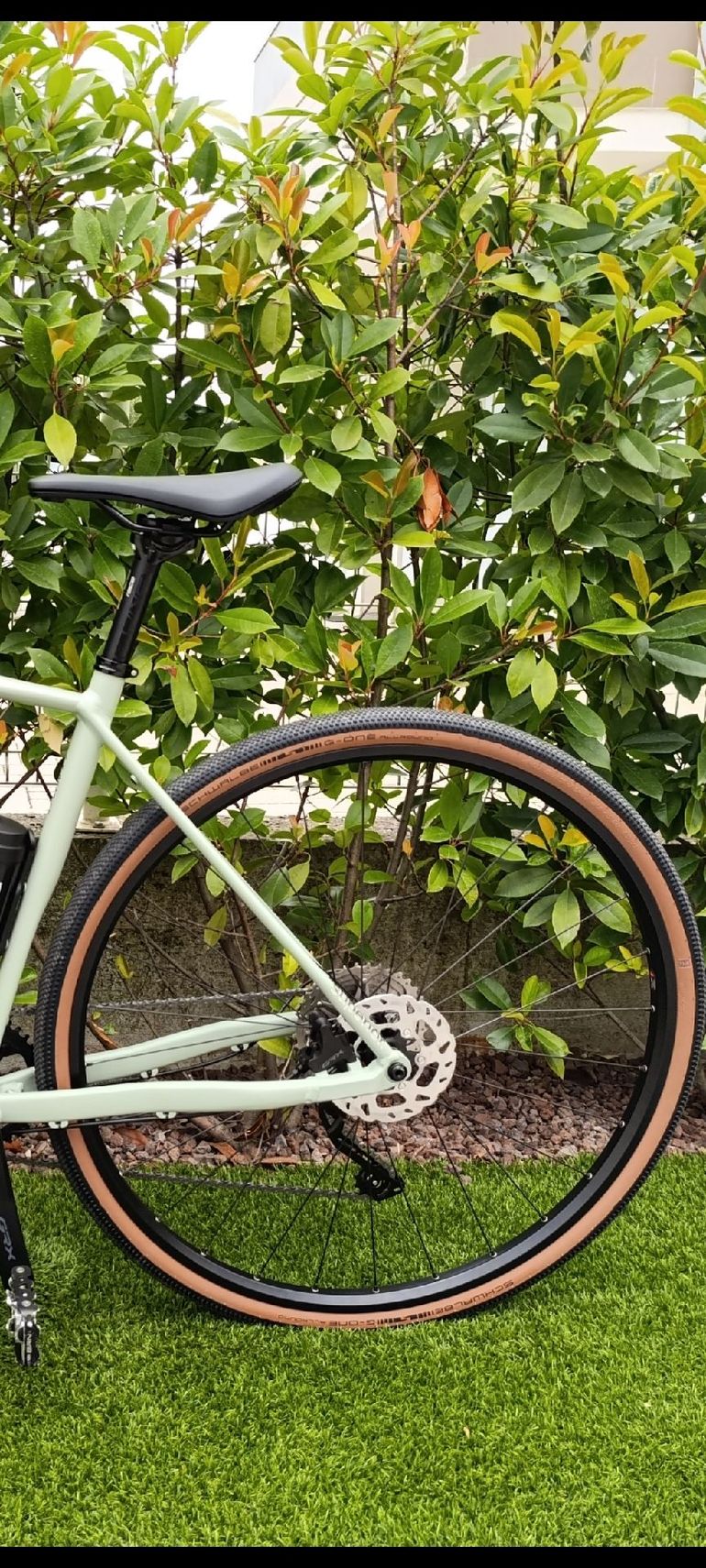 Used Shimano Gravel 700c Wheels with RS470 Hubs and Stars J21DC Rims 2025 bike — image 1 of 6