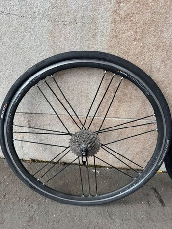 Used Campagnolo Shamal Mille Wheelset 2017 bike — image 3 of 4