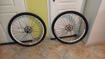 Used Dt Swiss XR1450 29" Wheelset 2024 bike