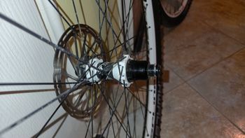 Used Dt Swiss XR1450 29" Wheelset 2024 bike — image 3 of 6