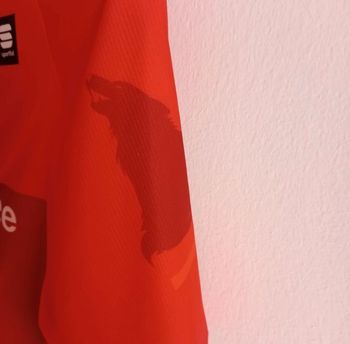 Used Sportful SDR 24 Bomber Jersey 2024 bike — image 5 of 10