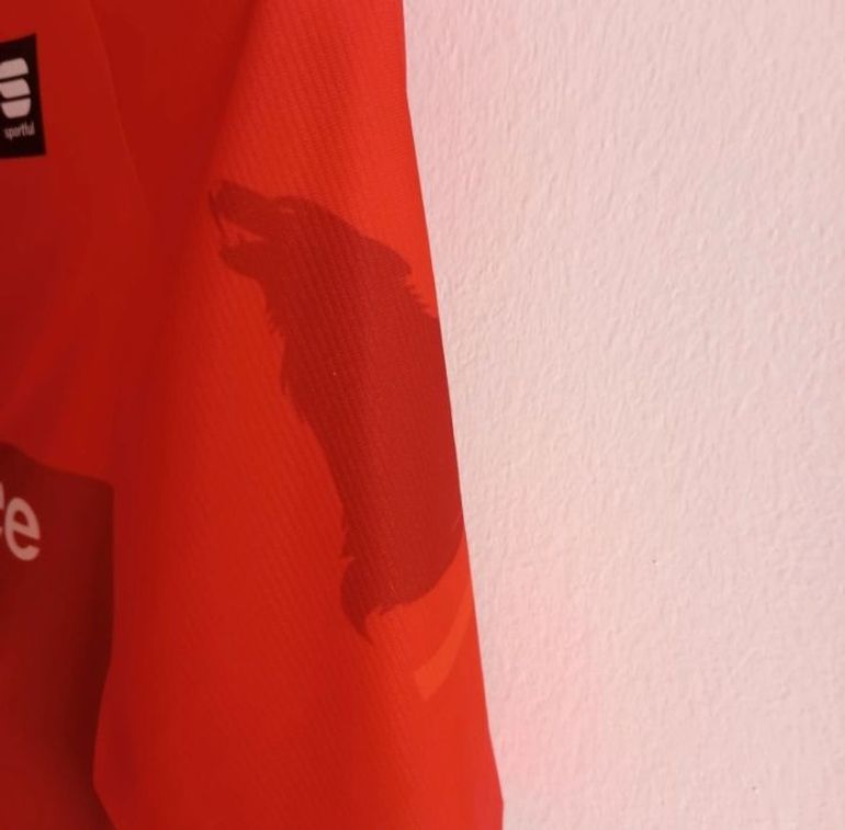 Used Sportful SDR 24 Bomber Jersey 2024 bike — image 5 of 10