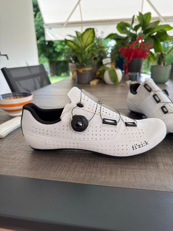 Used Fizik tempo 2023 bike — image 4 of 12