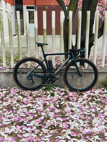 Used Bontrager Aelous Pro 51 2024 bike — image 12 of 12