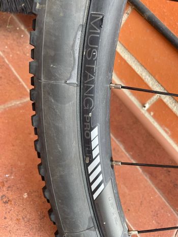 Used Bontrager Mustang Pro 29" TLR Wheel bike — image 2 of 5