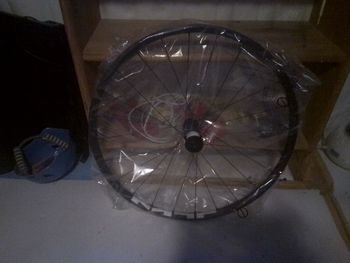 Used Shimano Ruota posteriore MTB 29 sgancio rapido 2026 bike — image 2 of 2