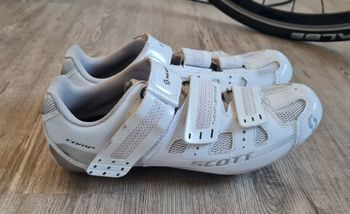 Used Scott Road Comp Lady bike