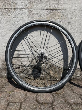 Used Campagnolo Shamal bike — image 2 of 6