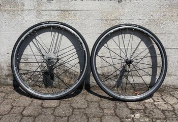 Used Campagnolo Shamal bike