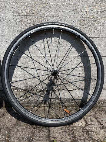 Used Campagnolo Shamal bike — image 3 of 6