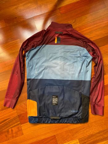 Used Gobik Pacer L Jersey bike — image 2 of 3