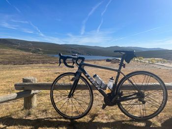 Used Campagnolo Shamal Ultra Dark Label USB bike — image 8 of 8