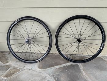 Used Dt Swiss P 1800 SPLINE 23 Disc Center Lock 2020 bike