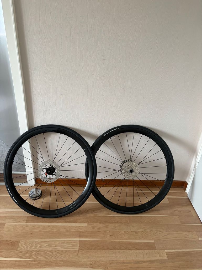 Used Fulcrum Racing 800 DB Laufradsatz 2026 bike — image 1 of 2