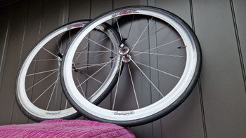 Used Campagnolo Shamal Wheelset 1994 bike — image 13 of 13