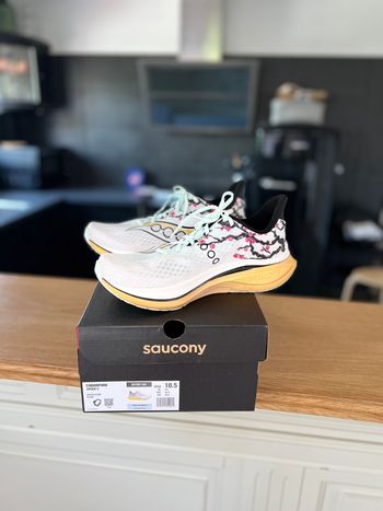 Used Saucony Endorphin Speed 5 2026 bike — image 3 of 3
