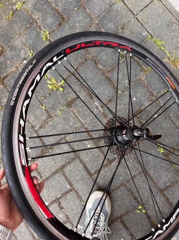 Used Campagnolo Shamal Ultra bike — image 4 of 4