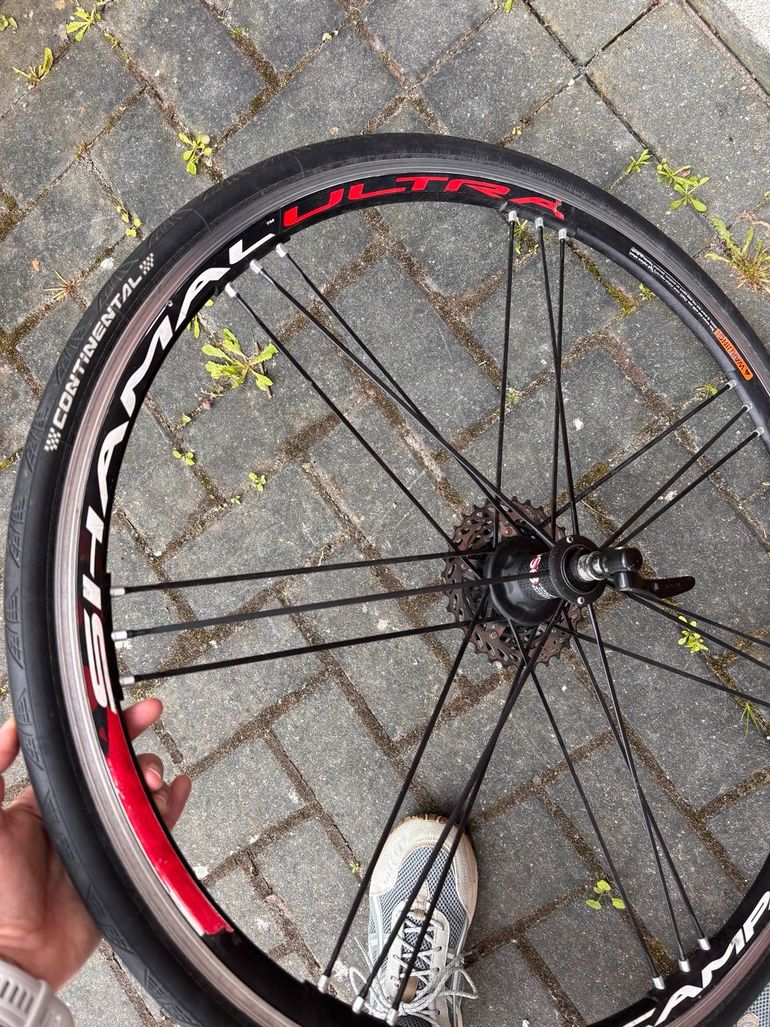 Used Campagnolo Shamal Ultra bike — image 4 of 4
