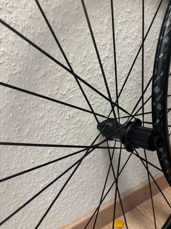 Used Dt Swiss P 1800 SPLINE 23 Disc Laufradsatz 2026 bike — image 2 of 5
