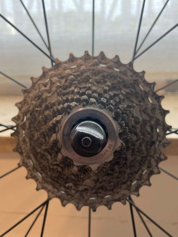 Used Miche Altur Road Wheelset 2020 bike — image 3 of 8