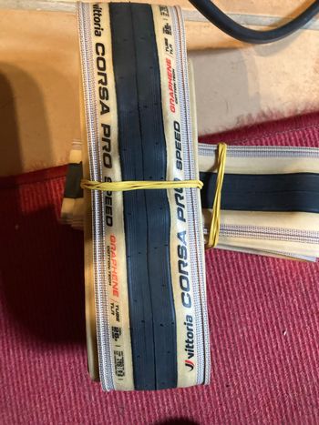 Used Vittoria Corsa Pro Speed TLR 2026 bike
