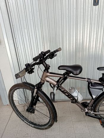 Used no name Seggiolino Tipo Shotgun 2023 bike — image 2 of 5