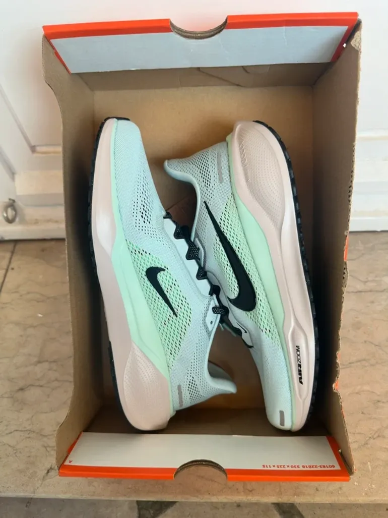 Used Nike Pegasus Air Zoom bike — image 1 of 10