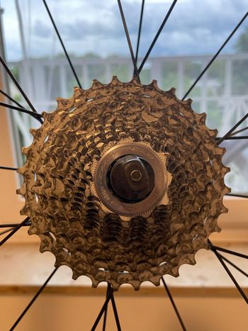 Used Campagnolo 12s Cassette 2020 bike — image 2 of 4